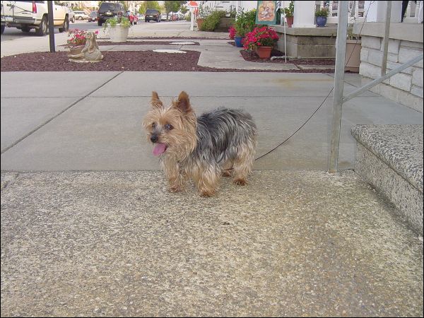 024.JPG, 79259 bytes, 8/26/2007