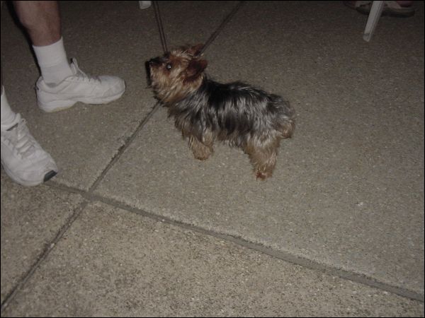 122.JPG, 48044 bytes, 8/26/2007